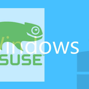 OpenSuse y Windows 101