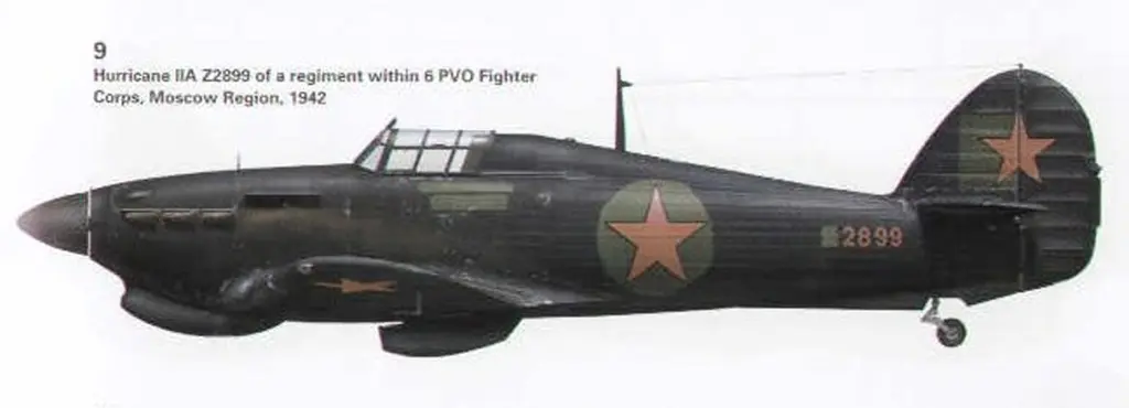 hurricane negro y blanco ruso jpg