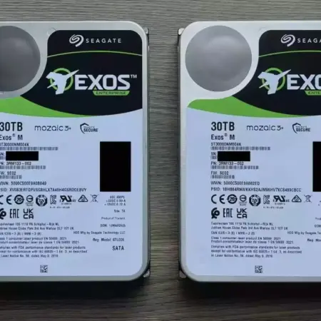 Seagate Exos 30 teras 2